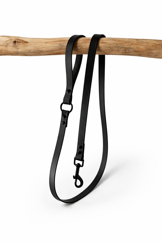 Laisse Biothane Divin 19 mm – Personnalisable