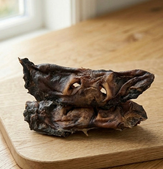 Museau de Bœuf Séché XL – Friandise Naturelle de Mastication